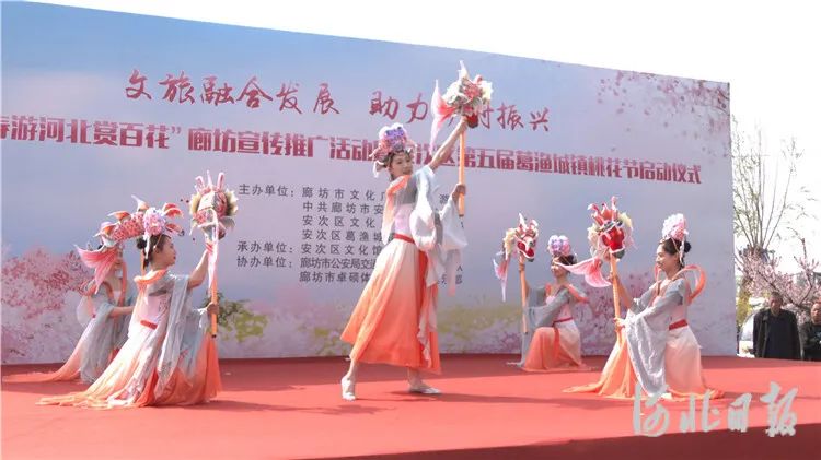 “颜值”变“产值” 廊坊安次区以“花”为媒促乡村振兴 - 廊坊公共文化云